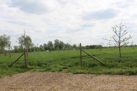 Eingangsbereich der Anpflanzung in Helmste