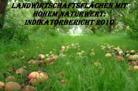 Landwirtschaftsflächen mit hohem Naturwert: Indikatorbericht 2010